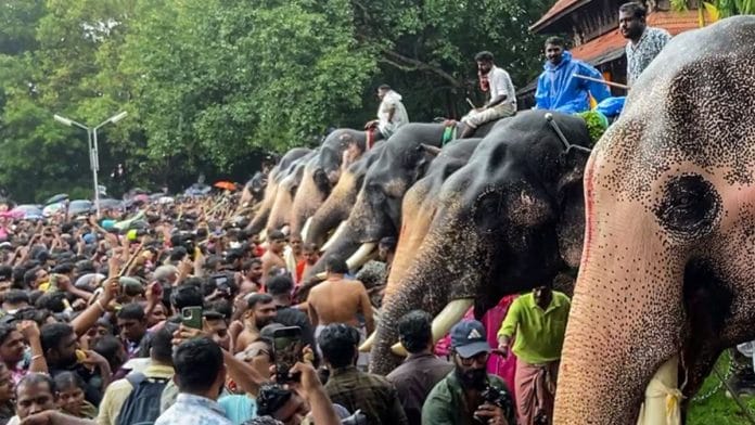 File photo of a priest feeding elephants in Kerala during a ceremony | Photo: ANI