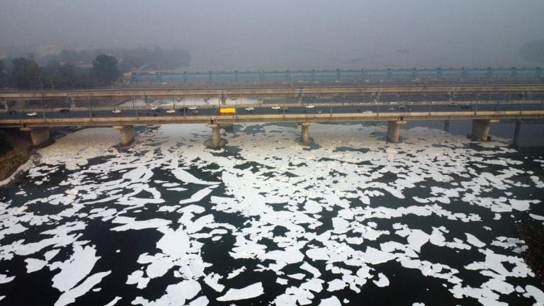 Study ecological damage to Yamuna, identify polluter industries, parliamentary panel tells Centre