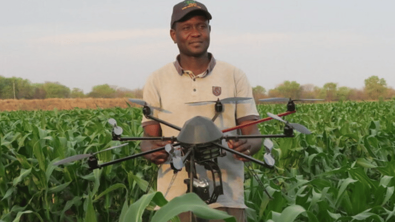 4 ways to tackle food and water security in the AI Age