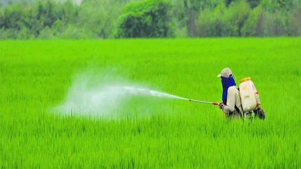 Cabinet approves continuation of PM Fasal Bima Yojana, restructured weather-based crop insurance scheme