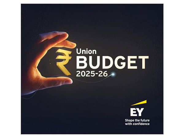 Budget should reduce tax rates, raise personal income tax exemption limit to Rs 5 lakh from Rs 3 lakh: EY India