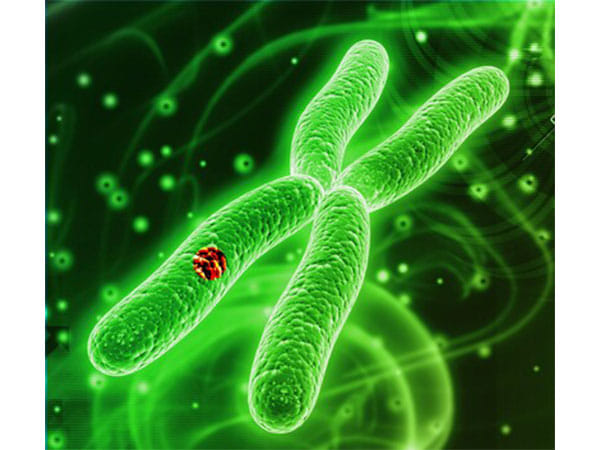 Datar Cancer Genetics Introduces Revolutionary Tumor-Agnostic + Informed Blood Test for Residual Disease Monitoring