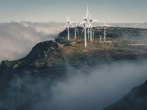 Energy sector demands enhanced investment, PLI boost, and tax reform in Union Budget 2025