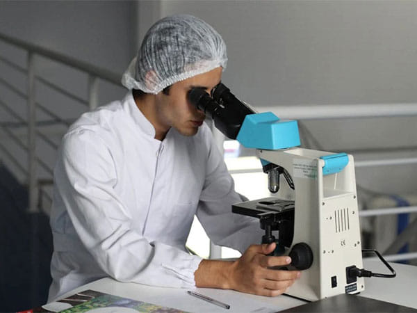 Anatomic lung resection linked to improved survival for early-stage lung cancer: Study 