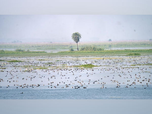 World Wetlands Day: The Art of Living Safeguards Nature's Lifelines