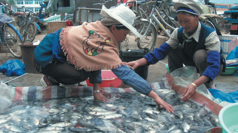 China’s appetite for salmon could reshape global seafood markets