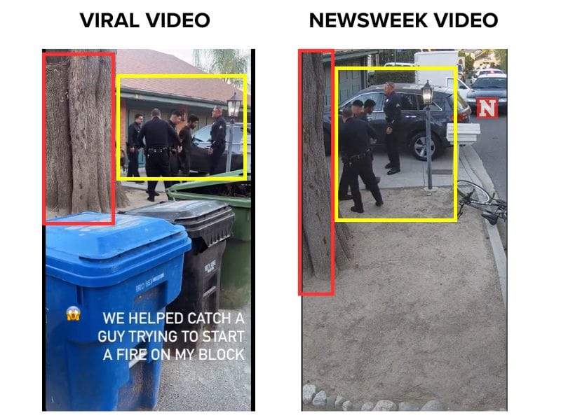 Comparison between viral video and Newsweek video. (Source: X/Newsweek/Modified by Logically Facts)
