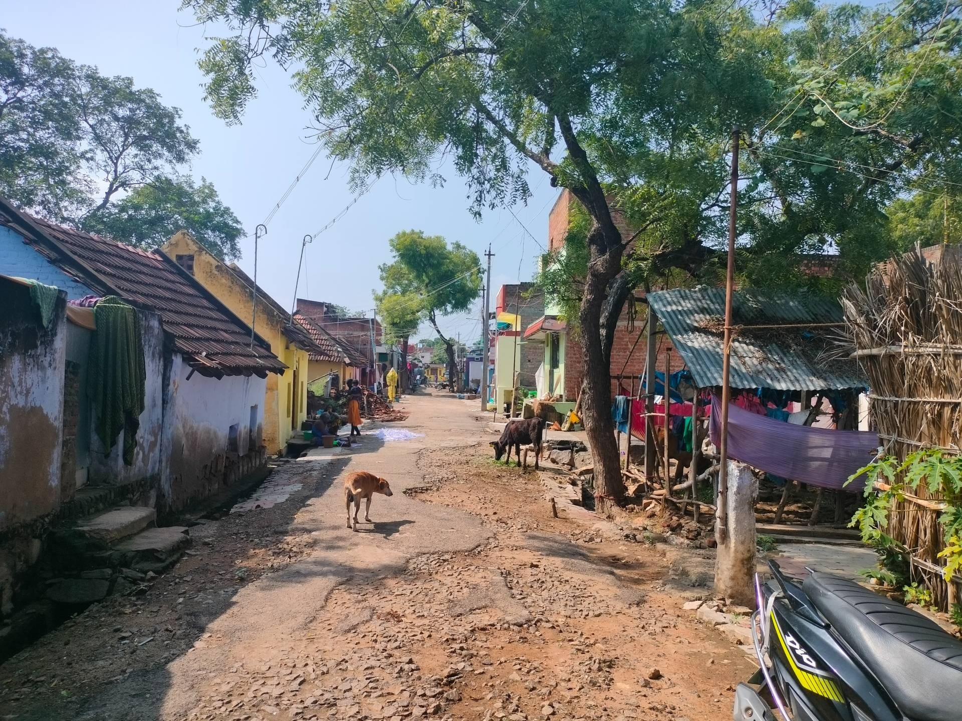 Part of the village where the Dalit families live | Aneesa PA | ThePrint
