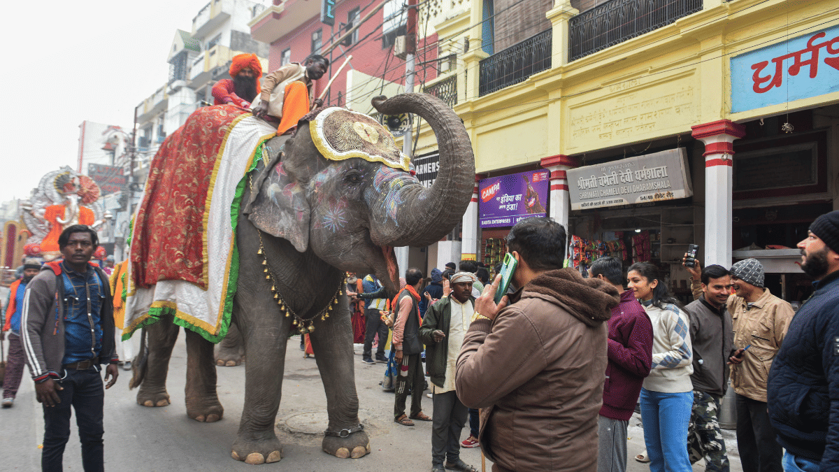 An elephant during the religious procession marking the arrival of an akhara | Suraj Singh Bisht | ThePrint