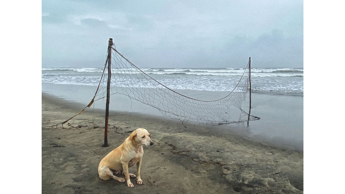 Credit: Rohit Chawla