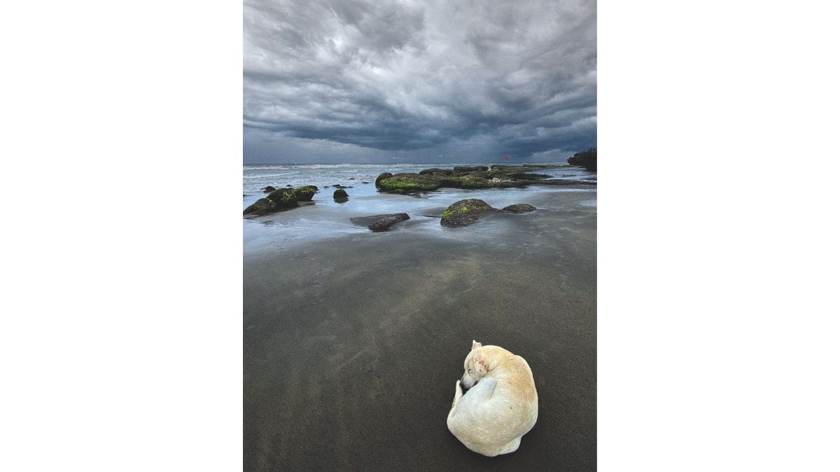 Credit: Rohit Chawla