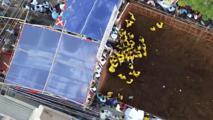 Drone view of the Jallikattu event in Madurai, Tamil Nadu on 14 January | Screengrab | ANI