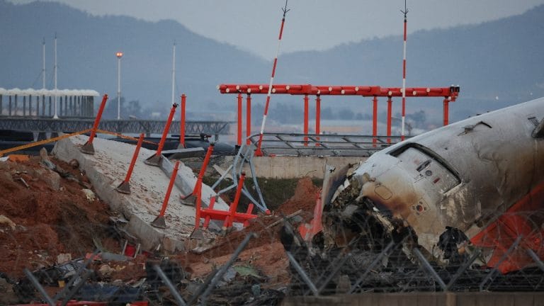 Duck DNA found in both engines of Jeju airplane that crashed last month in South Korea