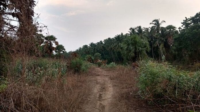 Representational image | Wikimedia Commons