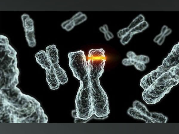 Datar Cancer Genetics Unveils Next Generation Multi-Analyte, AI-Powered Decision Support Platform for Personalized Treatment of Difficult-to-Treat Cancers.