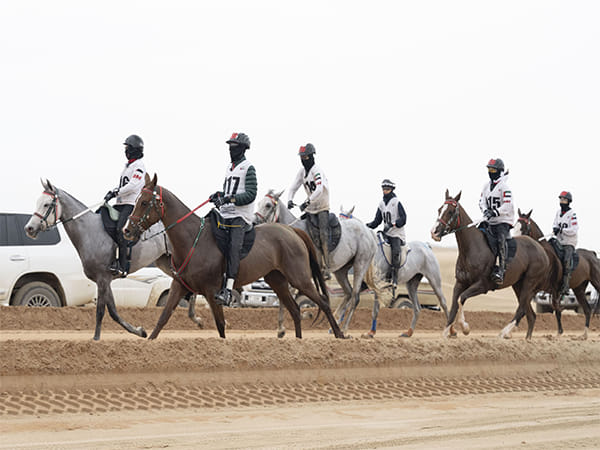 UAE President's Endurance Cup to commence tomorrow in Al Wathba