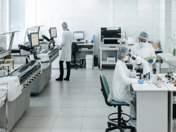 New insights into Alzheimer's brain inflammation: Study 