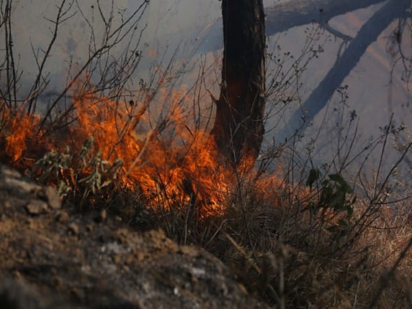Nepal sticks to traditional measures to control forest fire as threat looms high