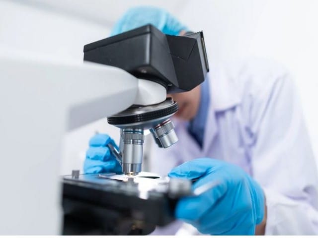 Study finds designing self-destructing bacteria make effective tuberculosis vaccines