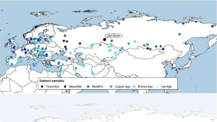 Geographical distribution across Eurasia of selected ancient samples | Silvia Perretti et al/BioRxiv
