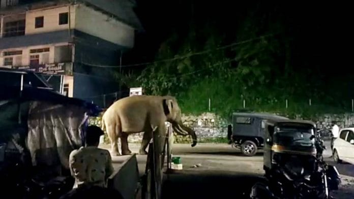 A wild elephant in a residential area in Kerala’s Munnar | Representative image | Photo: ANI