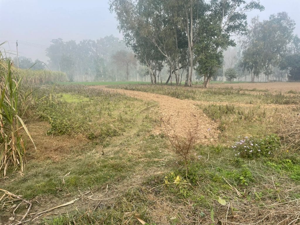 A plot in Sikri village classified as enemy property. It is set to be e-auctioned by CEPI | Udit Hinduja