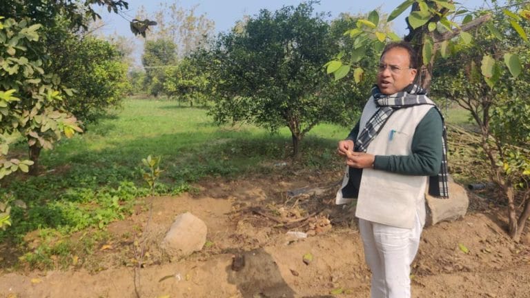 How Agra turned kinnows into orange gold in 10 yrs. It started with one man’s trip to Punjab