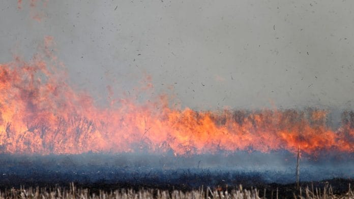 Stubble burning | Wikimedia Commons