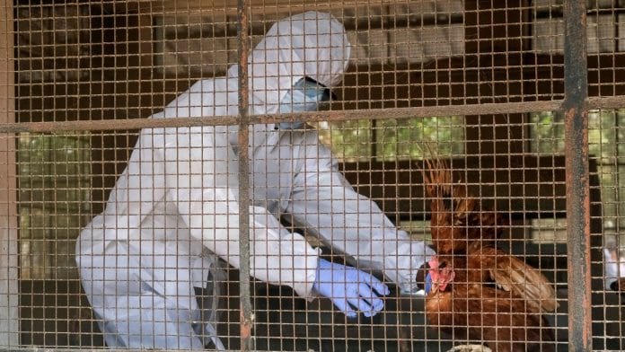 File photo of an official a wearing protective kit at a Kozhikode poultry farm in the wake of an outbreak of bird flu | ANI