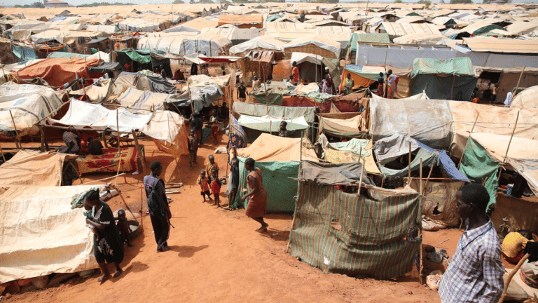 117 million people were displaced in 2024. This number will grow