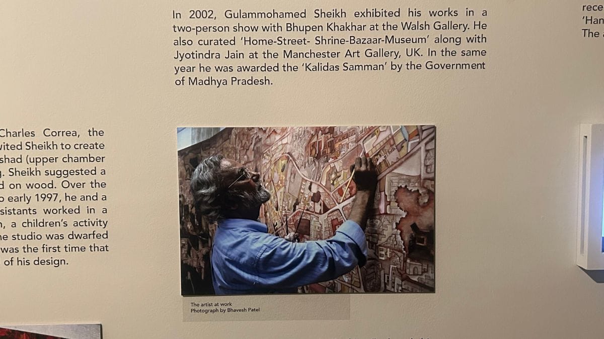 At KNMA | Zenaira Bakhsh, ThePrint