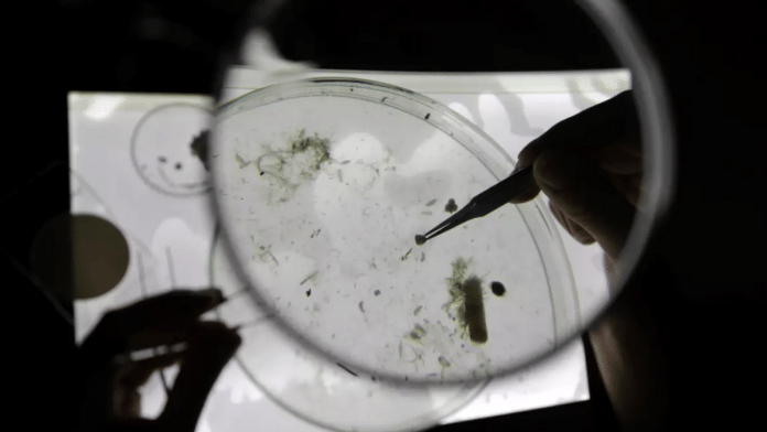 Researchers are studying the impact of microplastics on human health. | Eric Gaillard | Reuters