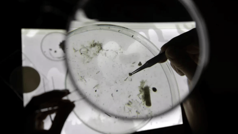 Microplastics are everywhere. What’s being done about it?