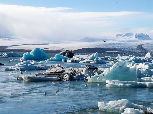 Rising temperatures drove 41 pc surge in peak power demand across India in 2023: Report