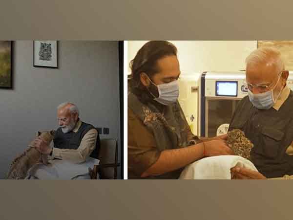 PM Modi inaugurates Vantara in Jamnagar, feeds lion cubs, giraffes