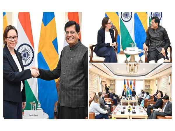 Piyush Goyal discusses bilateral trade-investment with Swedish foreign affairs minister