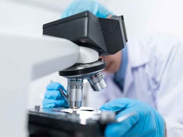 New eye drops slow vision loss in animals: Study