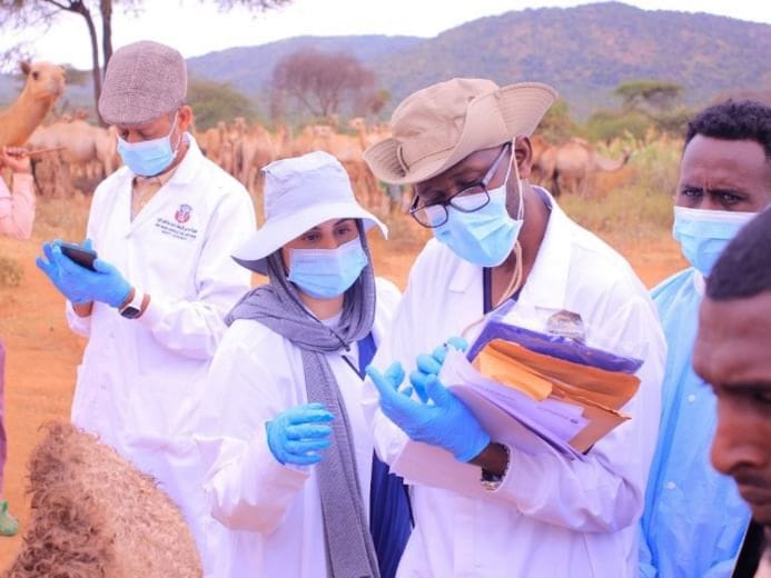 WOAH Centre for Camel Diseases detects likely cause of Ethiopia camel deaths