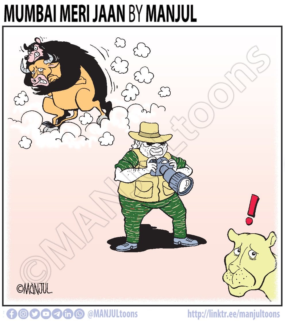 MANJUL | X\@MANJULtoons