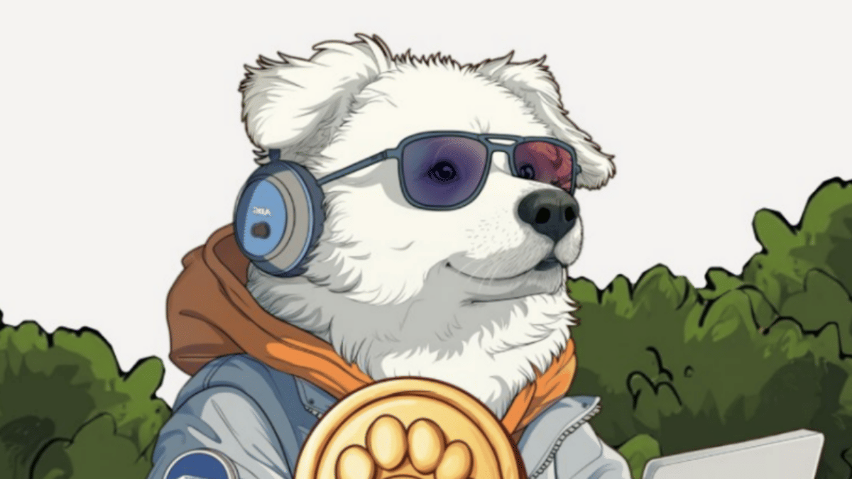 Best Altcoins for Next Bull Run: How AI Coins Are Shaping the Future of  Crypto