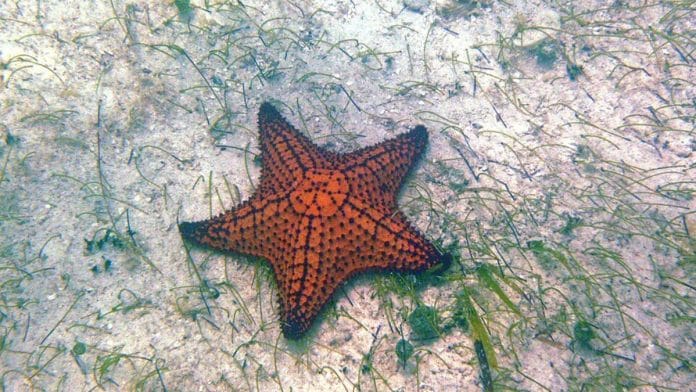 Representational image | Commons