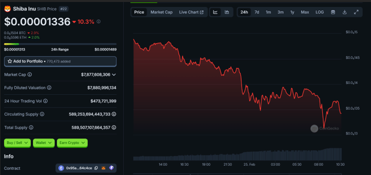 Shiba Inu Price Chart (24-Hour) Feb. 25, 2025 | Source: CoinGecko