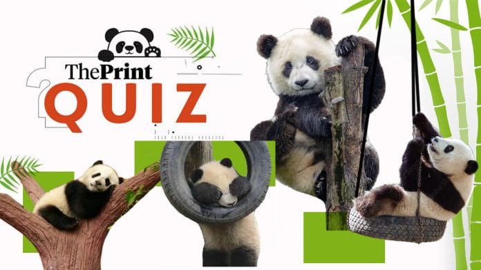 Panda Day Quiz | Illustration: Shruti Naithani | ThePrint