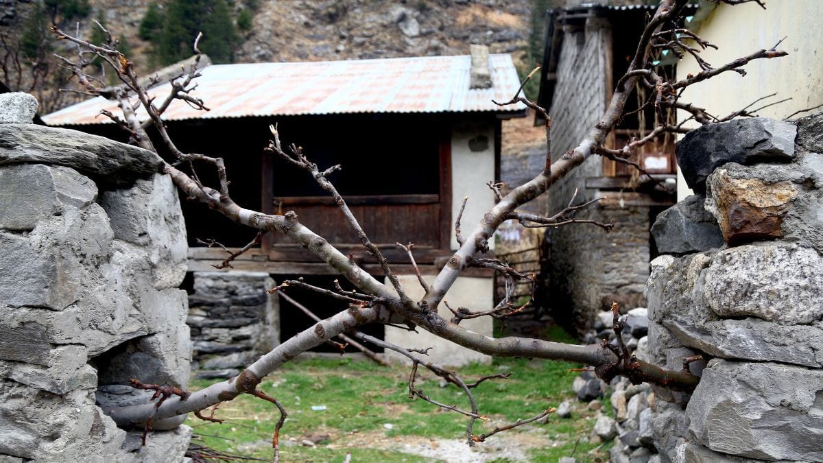 The deserted Bagori village in Harsil