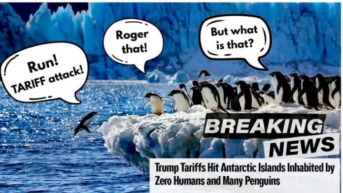 A meme on Trump's tariffs on an island inhabited by penguins | X/@SpoxCHNinUS