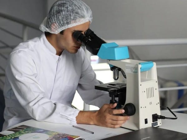 New human 'multi-zonal' liver organoids improve injury survival rate in rodents