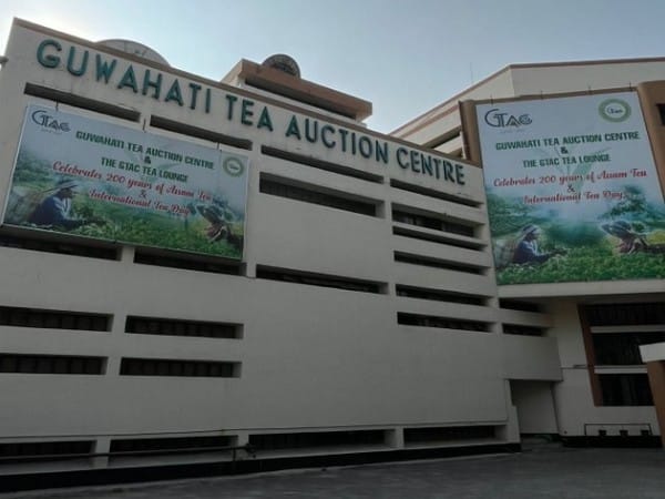 Guwahati Tea Auction Centre registers record performance in 2024-25