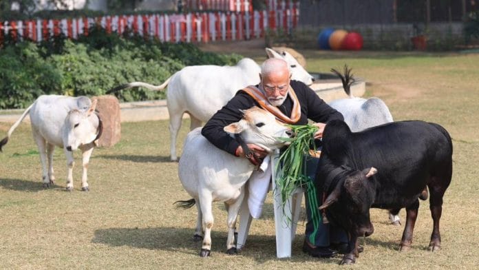 Prime Minister Narendra Modi performing gau seva at his residence in January last year | Photo: X/@BJP4India