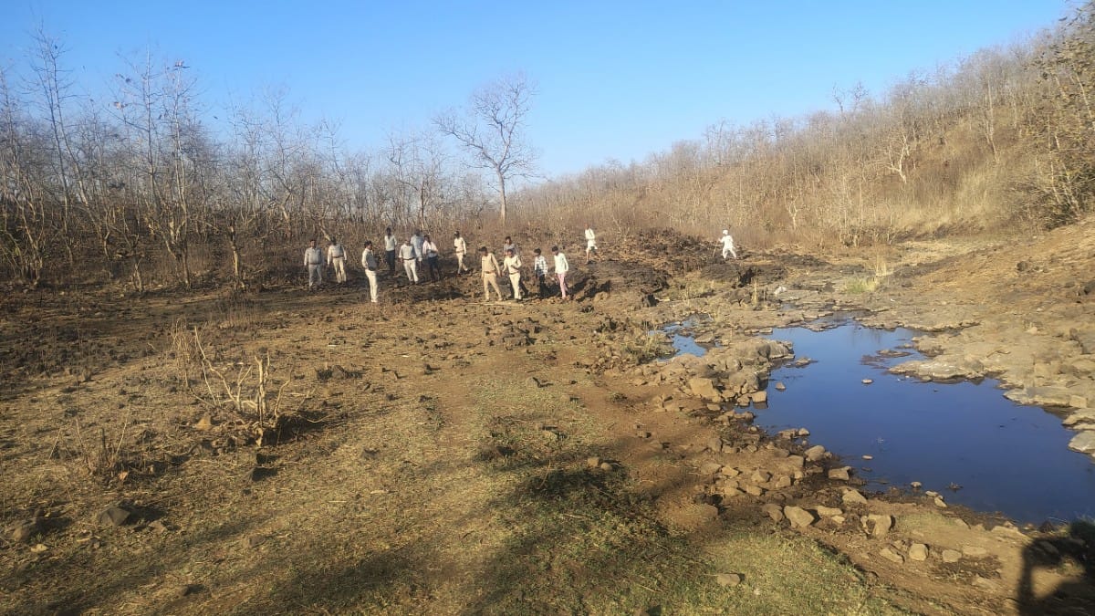 Forest dept officials tracking the vulture in Lateri | By special arrangement