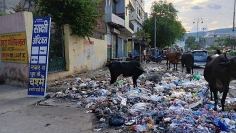Why Jaipur’s municipal mess is India’s problem too